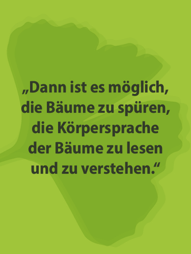 Baumgutachten-Lux – Zitat – Datenschutz