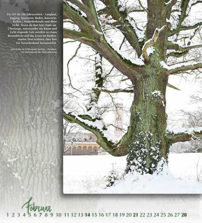 Baumgutachten Lux – Baumkalender 2027, Januar