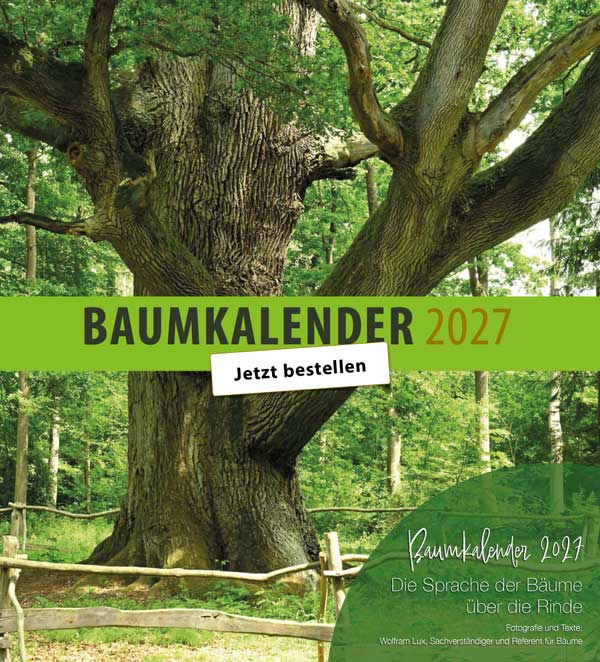 Baumgutachten Lux – Baumkalender 2027, Titelbild